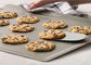 Cooling Commercial Baking Trays , All Clad 14&quot; X 17&quot; Sheet With Cooling Rack